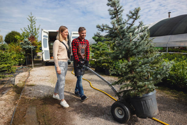 How Our Tree Care Process Works  in  Hunters Creek, FL